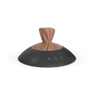 Artisan Electric Gooseneck Kettle – LIMITED CANDY EDITION – Tanbrown Coffee