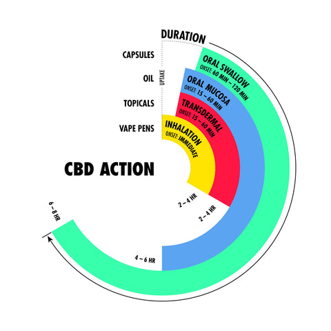 Which CBD Product Is Right For Me?