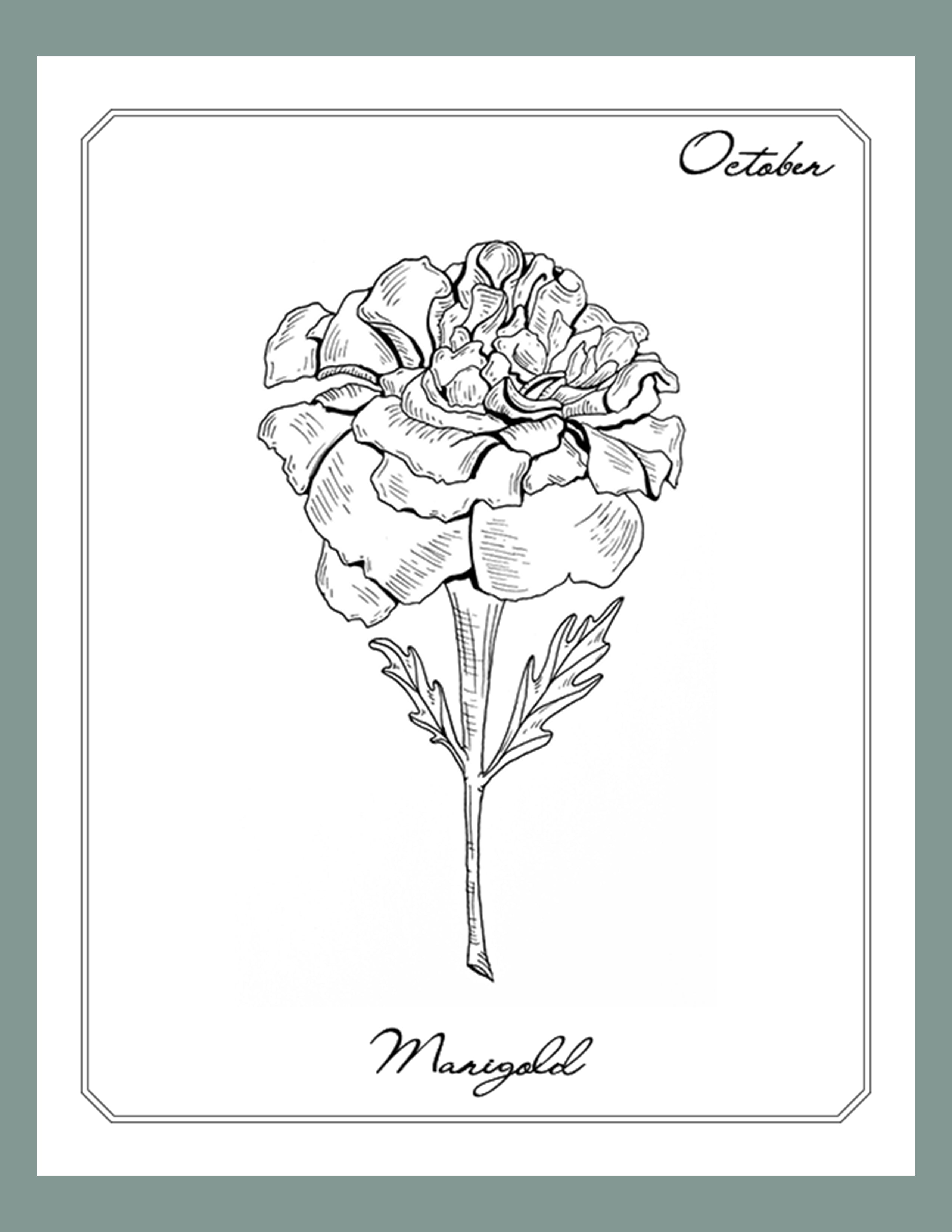 Tender And Minimalistic 68 Birth Flower Tattoos 2023