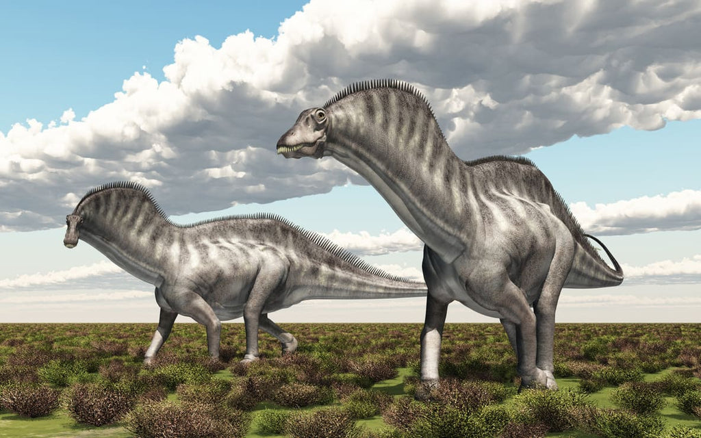 Amargasaurus dinosaure sauropode