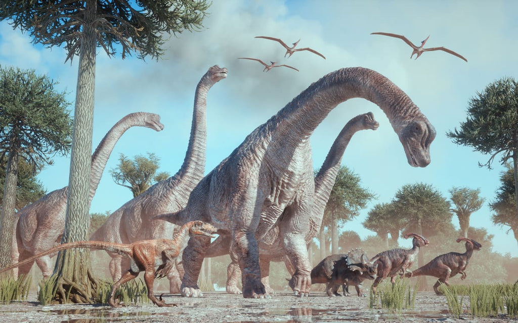 Apatosaurus dinosaure géant