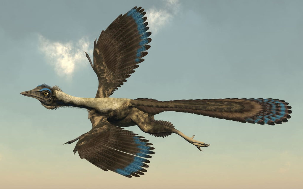 Archaeopteryx en vol