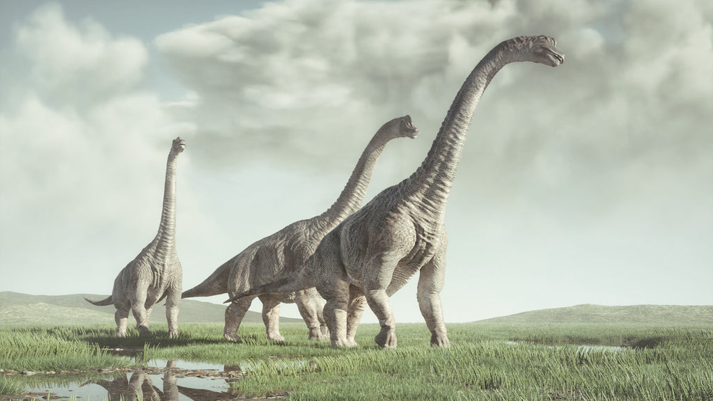 Brachiosaurus durant le jurassique