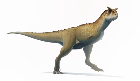 carnotaurus dinosaure le plus fort