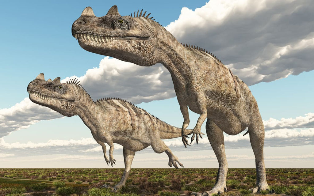 Deux Ceratosaurus