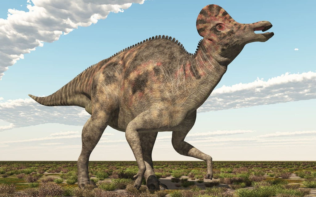 Corythosaurus le lézard masqué
