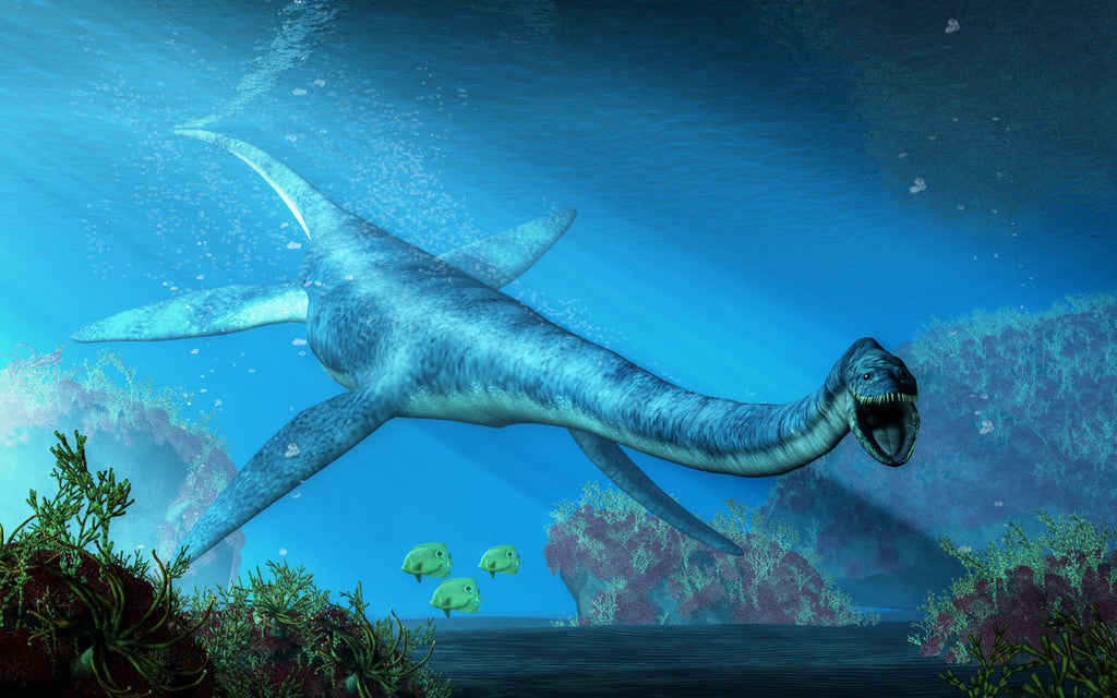 Elasmosaurus dans la mer