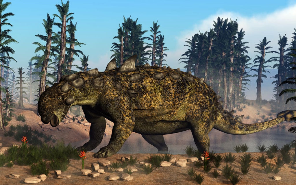 Euoplocephalus