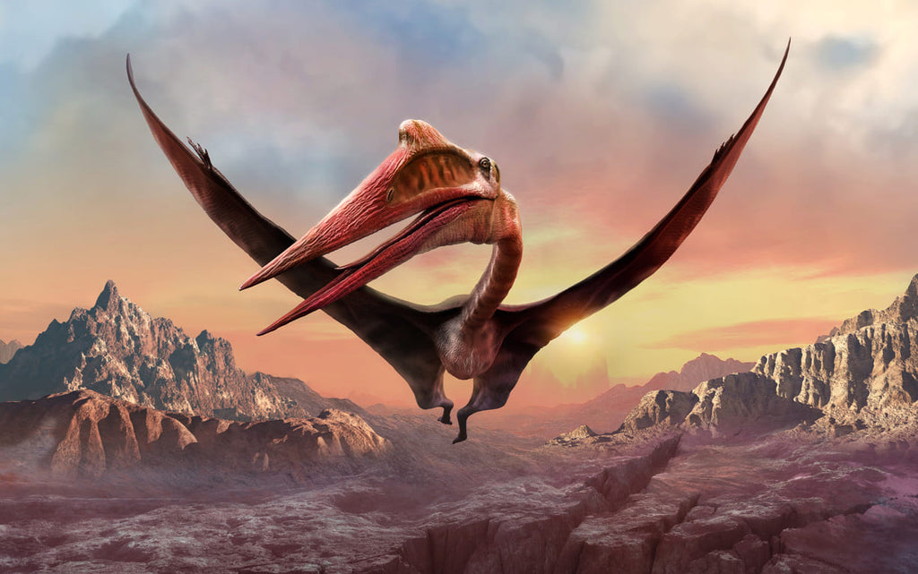Ptérosaure dans la nature