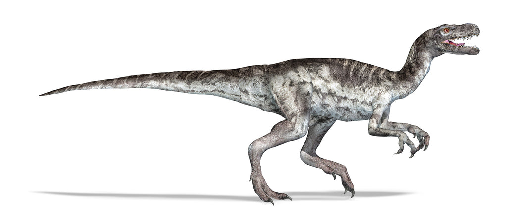 Herrerasaurus