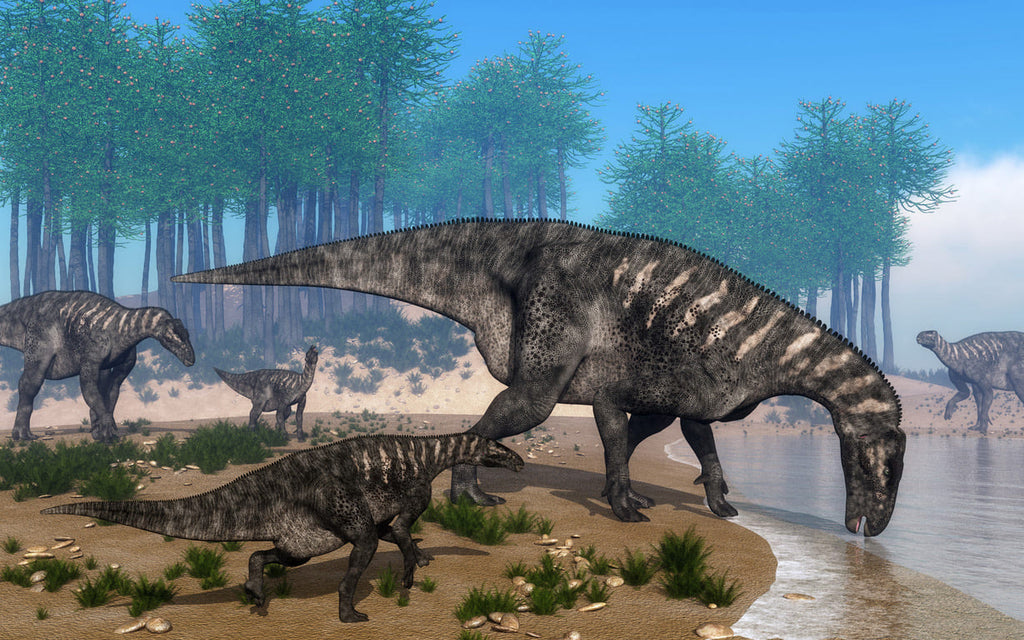 Iguanodon durant le crétacé