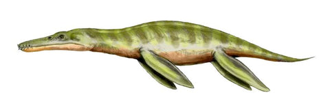 marine liopleurodon dinosaure le plus fort
