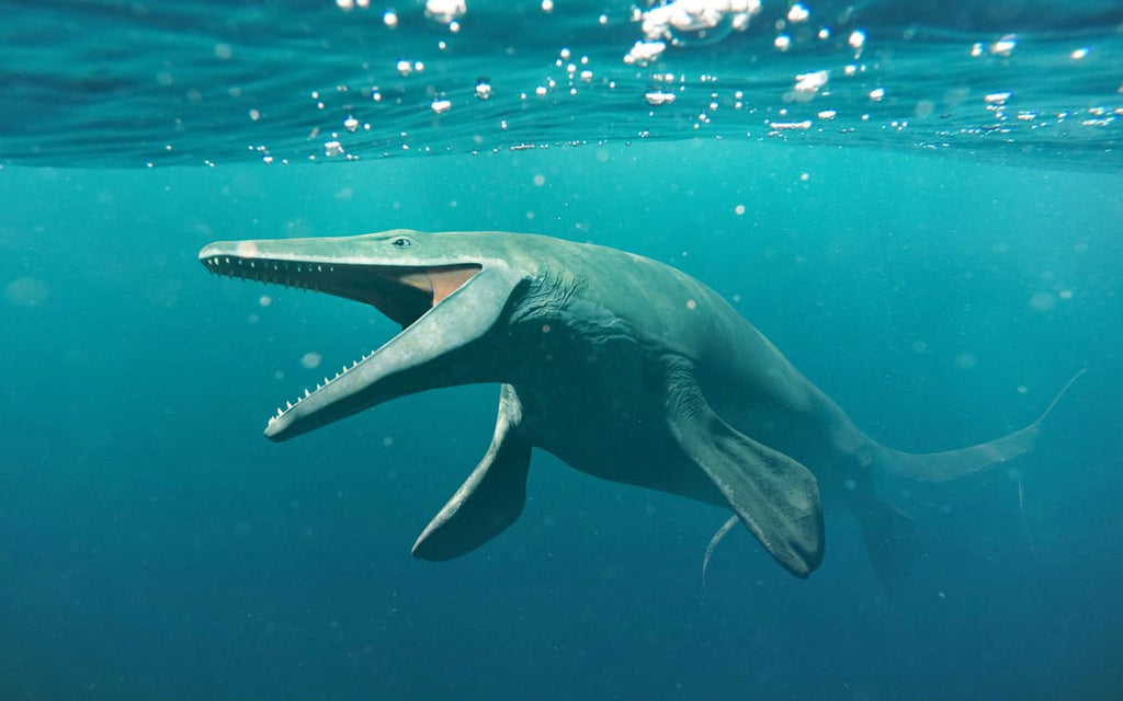 Liopleurodon mer du jurassique