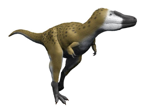 Nanotyrannus dinosaure rapide