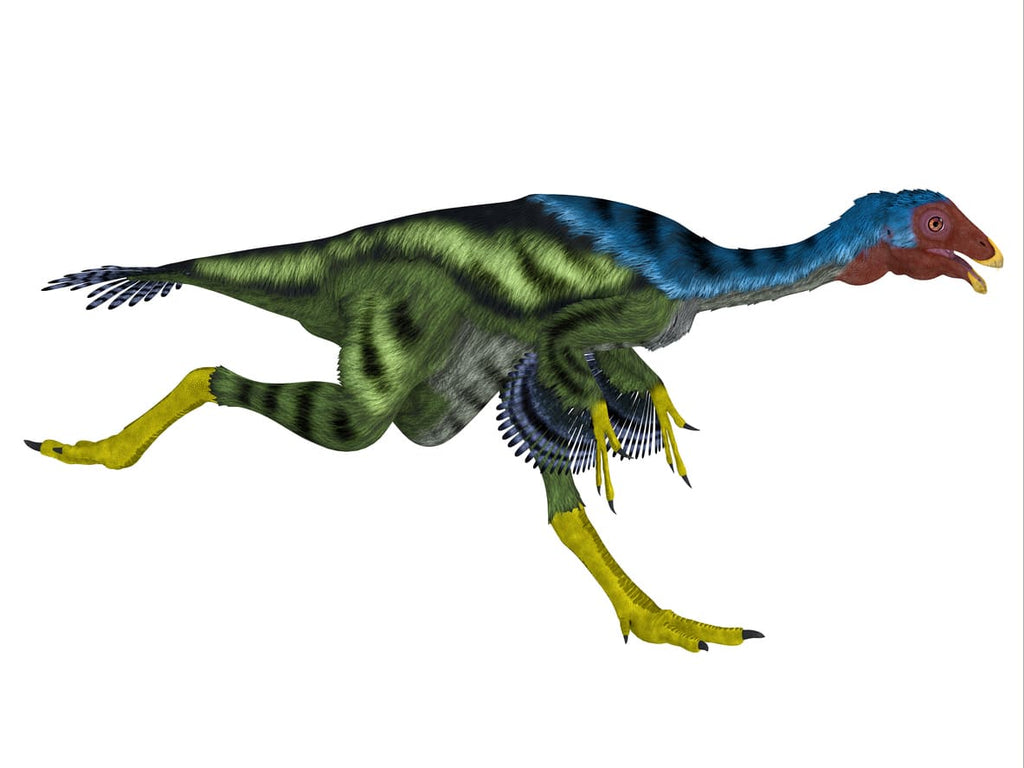 Oviraptor