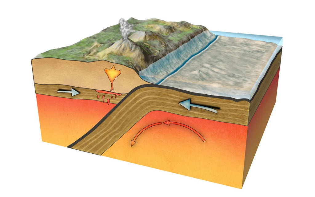 Études des plaques tectoniques