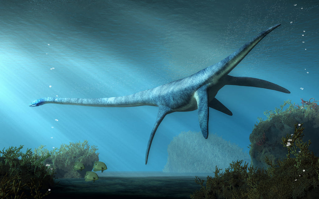Plesiosaurus dans l'océan