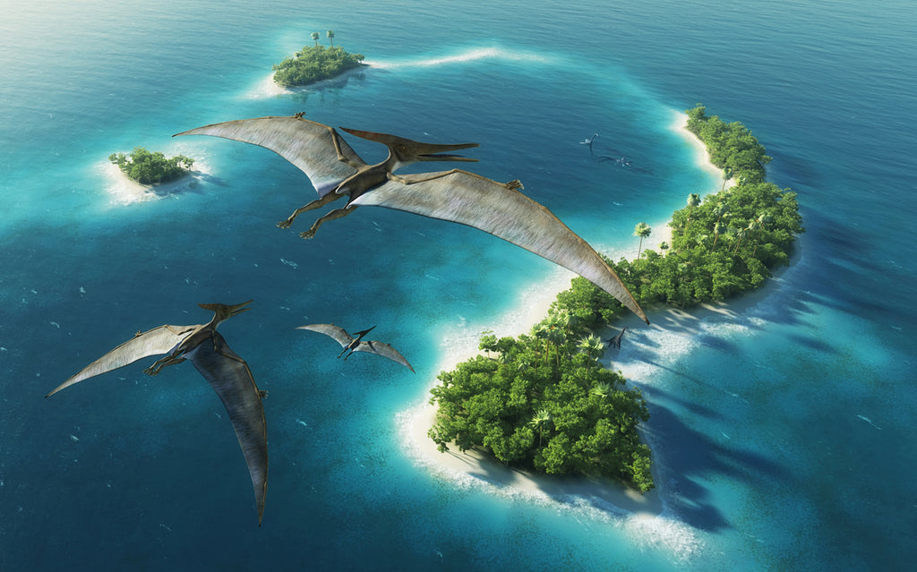 Pteranodon au dessus d'une île