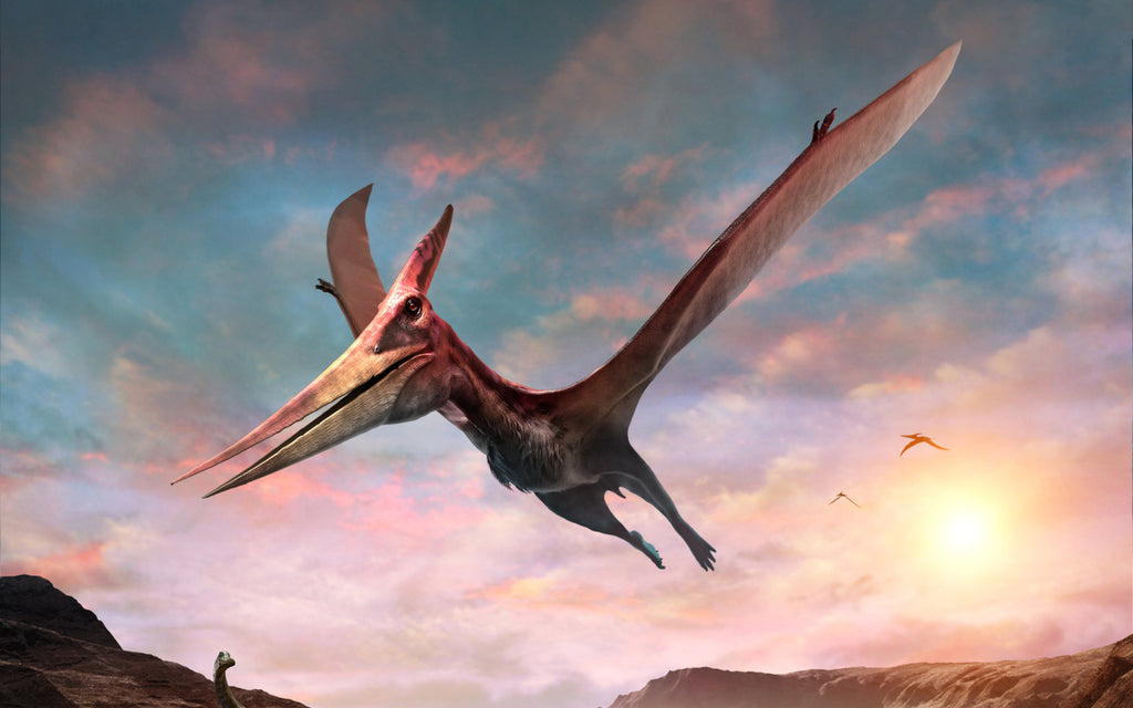 Pteranodon durant le crétacé