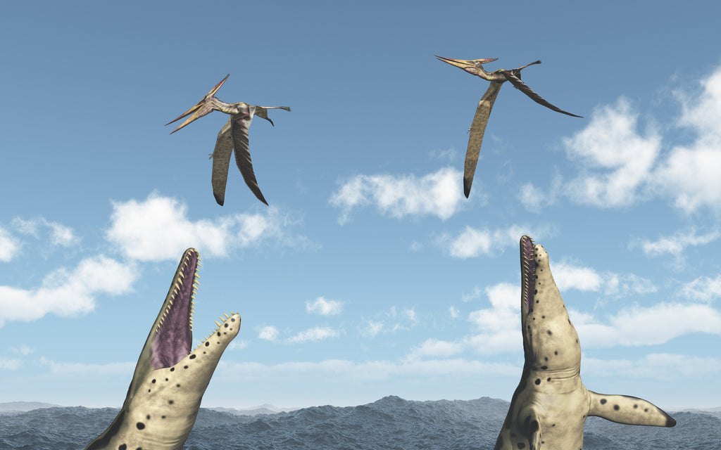 Pteranodon au dessus de la mer