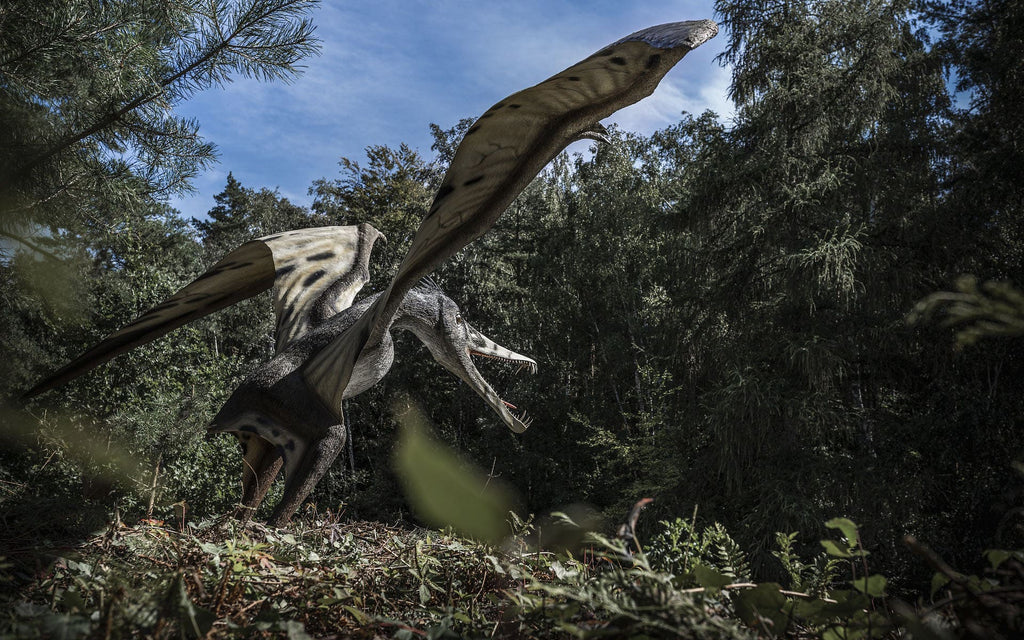 Ptérosaure dans la nature
