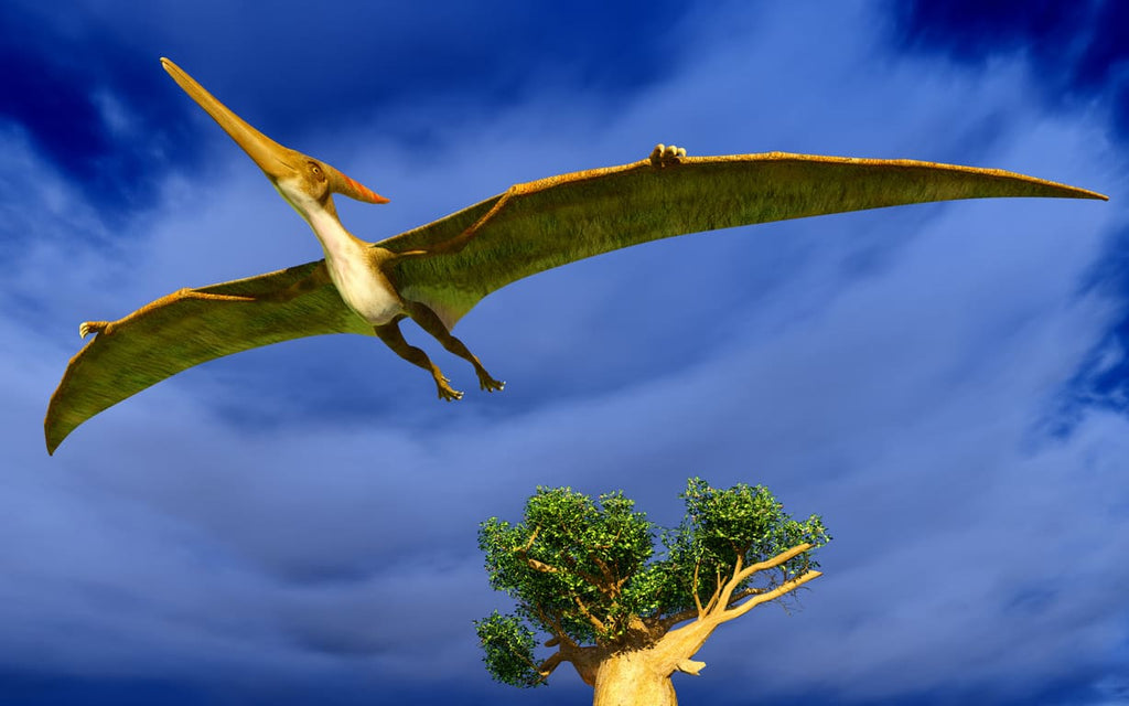 Ptérosaure qui vole