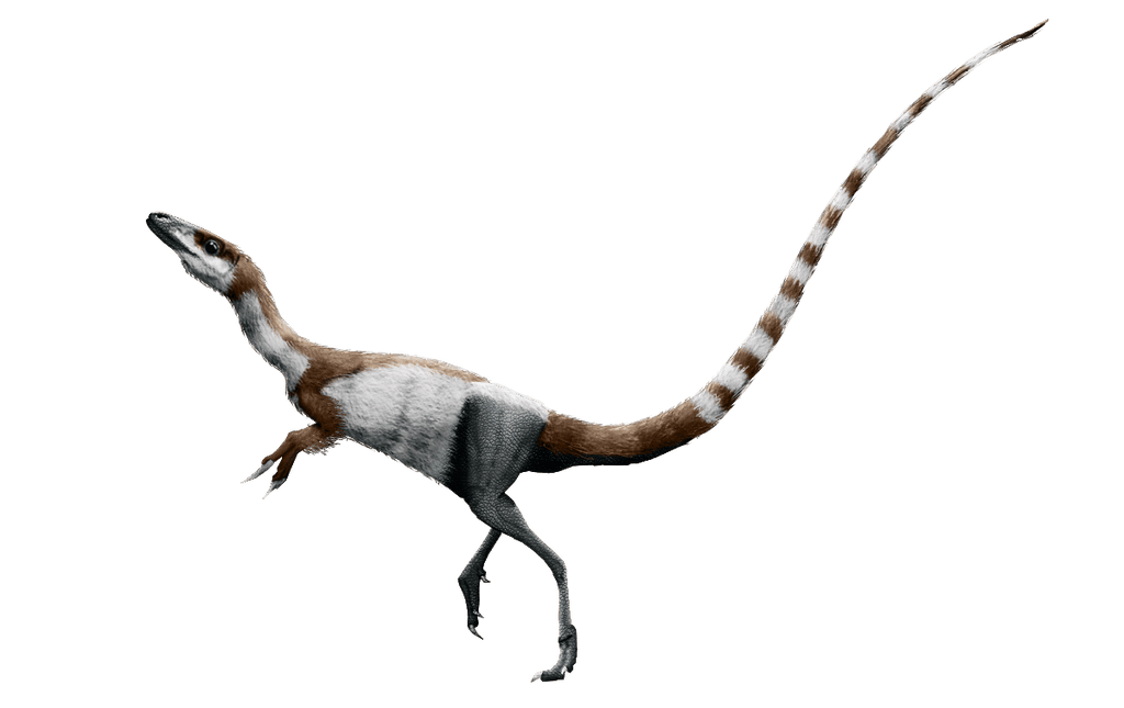 Sinosauropteryx