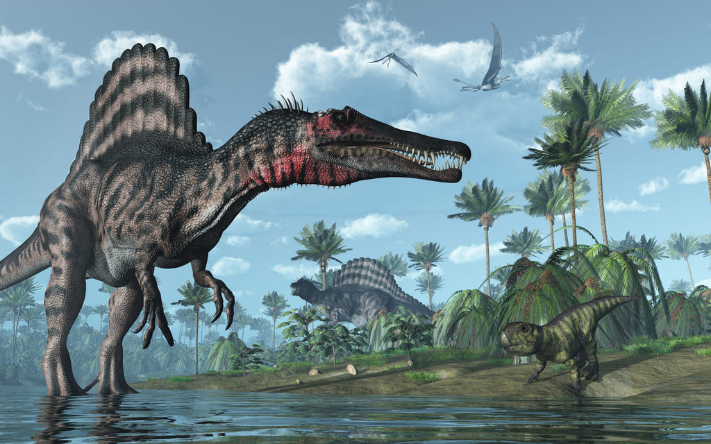Spinosaurus dinosaure carnivore