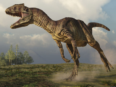 allosaure dinosaure carnivore