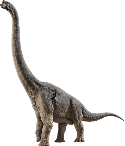 brachiosaure dinosaure herbivore