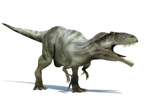 carcharodontosaurus dinosaure le plus fort