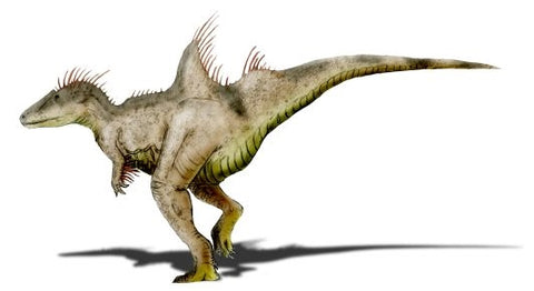 concavenator dinosaure rapide