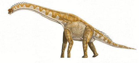 giraffatitan dinosaure herbivore