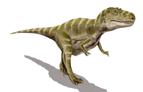gorgosaurus dinosaure rapide