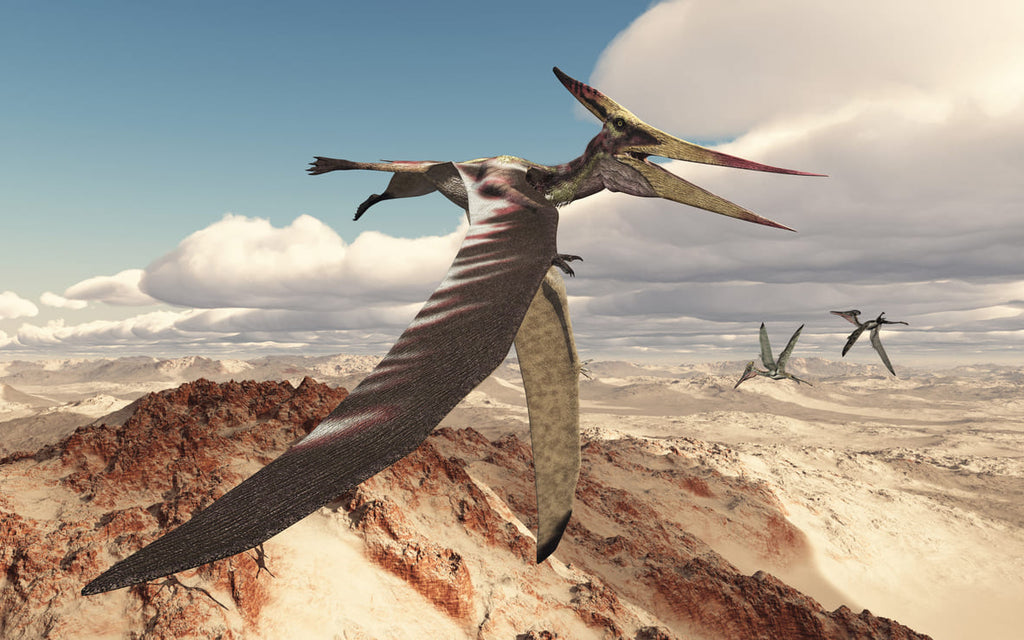 Pteranodon dans les airs