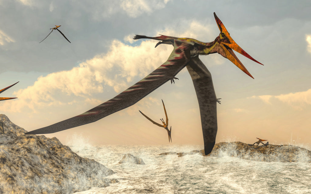 Dents Pteranodon