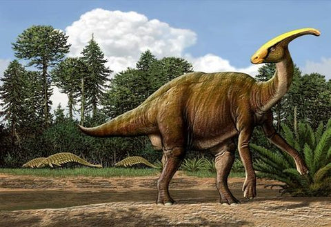parasaurolophus dinosaure herbivore