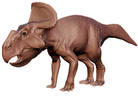 protoceratops dinosaure herbivore