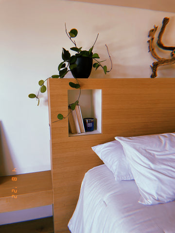 bedroom plant decor on bed mantle including potted plant with trailing leaves, a candle from The Nice Plant and some books