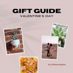 @theniceplant on Instagram - Valentine's Day Gift Guide for Small Black Businesses