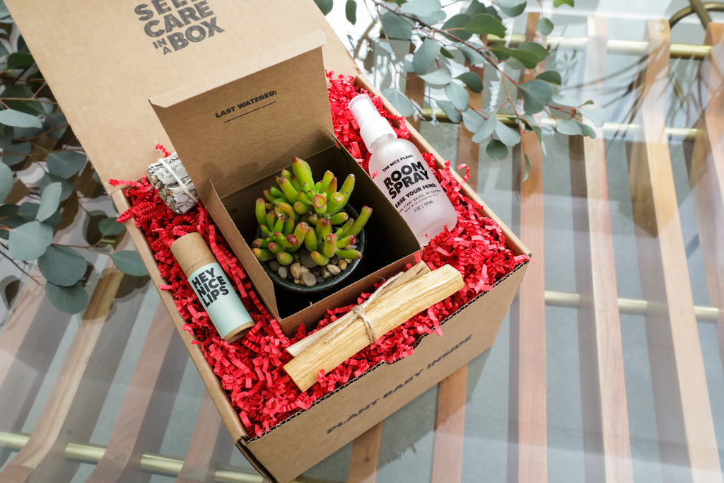 A green succulent (ogre's ear) sits in the middle of The Nice Plant's Blooming Energy Box in Valentine's red, which includes: Sage, Palo Santo, Room Spray, and Lip Balm. All in sustainable packaging.