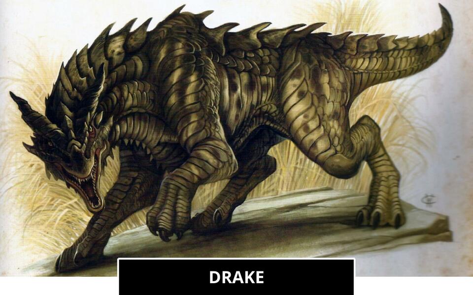 Drake