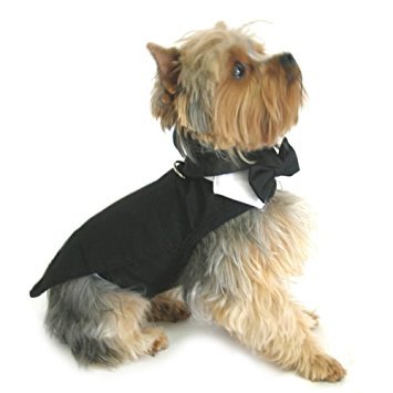 DOGGIE DESIGN Dog Tuxedo w/Formal Tails- Black, Medium (Chest 16-19") - PawsPlanet Australia