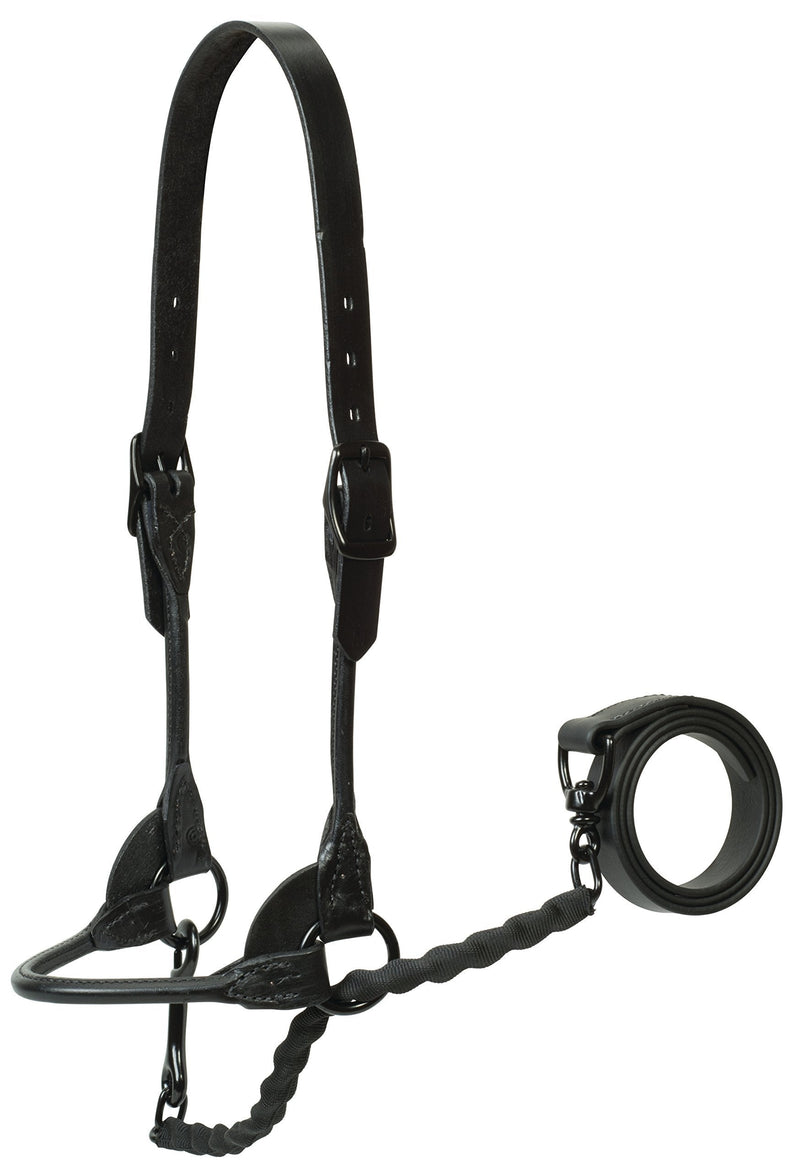 Weaver Leather Livestock Magic Show Halter with Covered Chain Lead, Black - PawsPlanet Australia