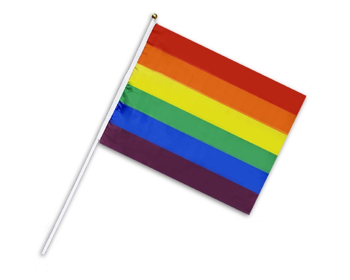 small gay pride flag png