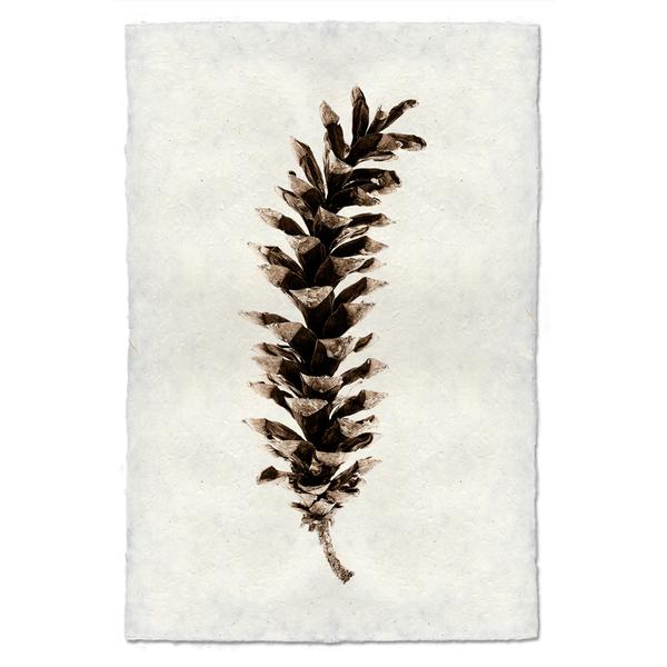 Archival Handmade Paper White Pine Cone Print