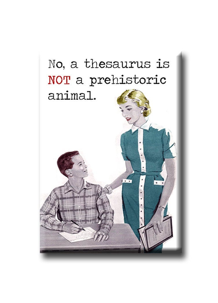 No, a thesaurus NOT a prehistoric MAGNET – Fly Paper