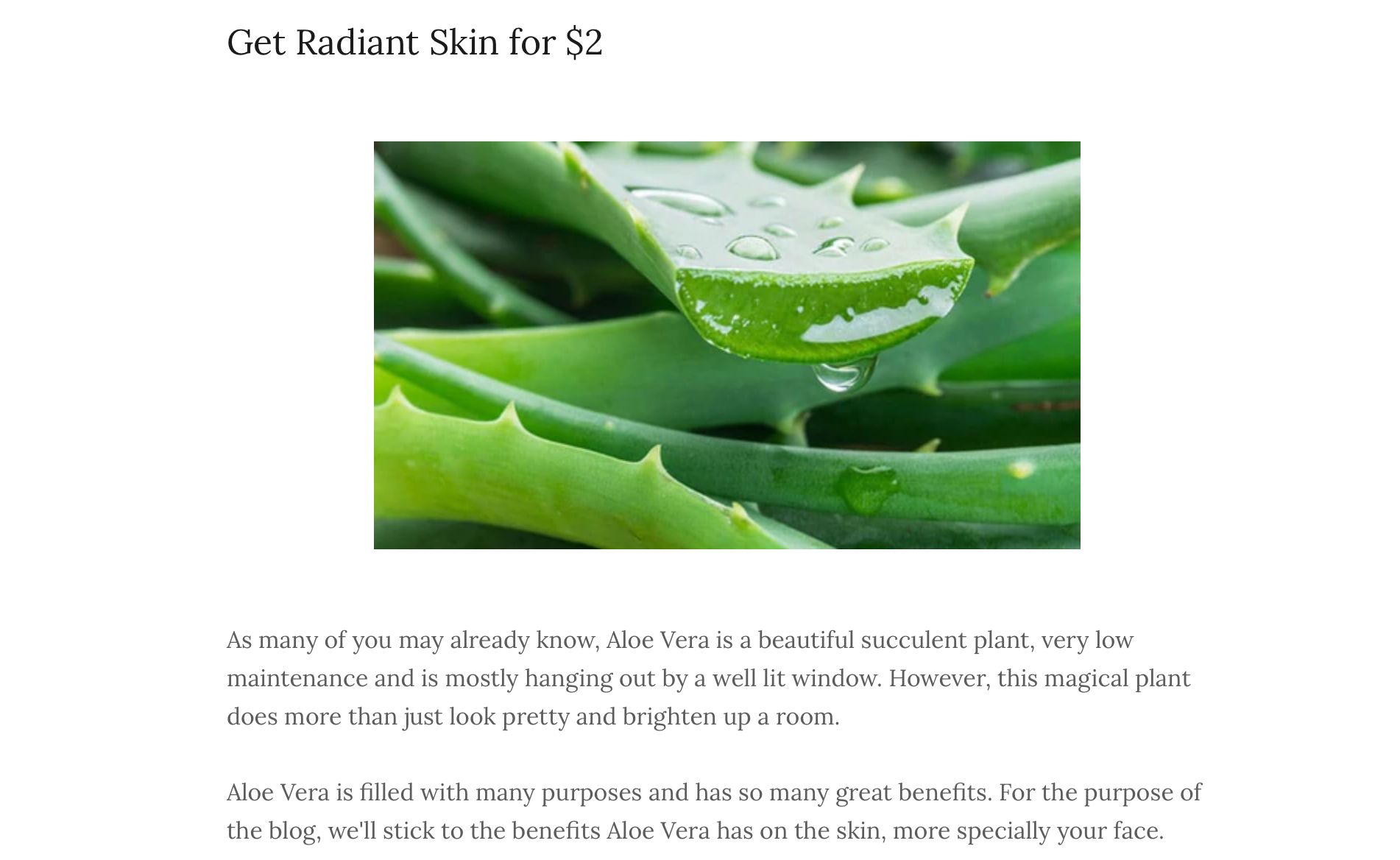 Aloe Vera Face Mask recipe by Vilot Skin Collagen Firming skincare brand that will help anti aging anti wrinkle hydration eczema hyperpigmentation. This Face Mask recipe is inexpensive and highly effective against skin issues such as acne, dry skin, psoriasis, hyperpigmentation. Aloe Vera Face Mask is an organic mask