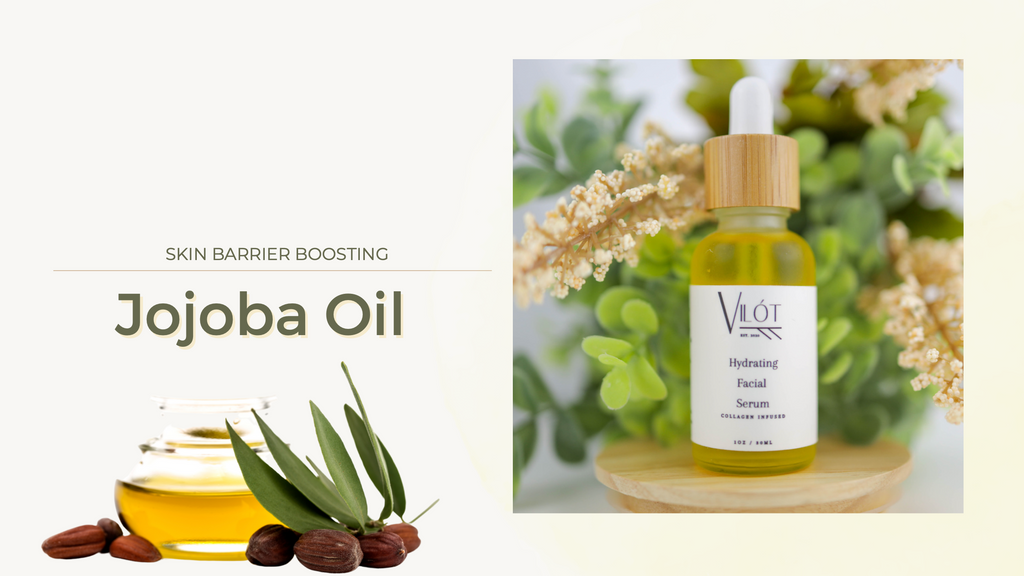Skin barrier boosting ingredient Jojoba oil, helps rebuild skin barrier and cure acne. Vilót Skin base ingredient jojoba oil helps with menopause, acne, summer trend skincare 2022
