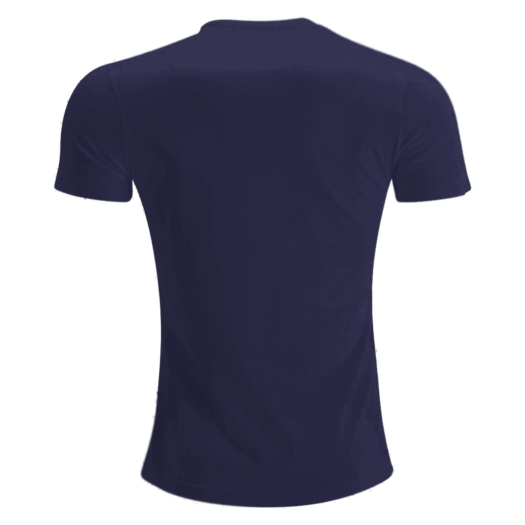 Lions Rugby Navy Cotton Premiership T-Shirt